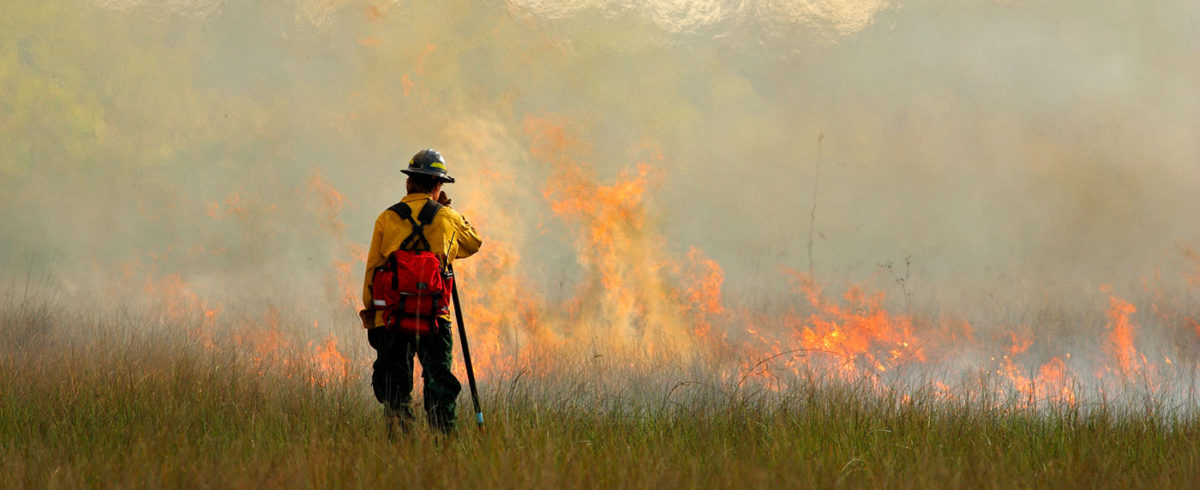 National Guide For Wildland Urban Interface Fires Canada Wildfire Planning International 